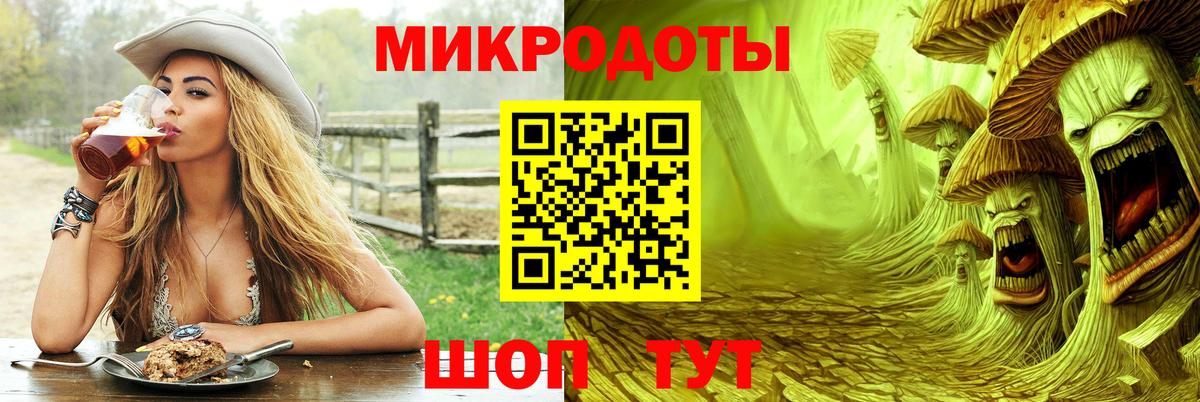 Кызыл  Псилоцибиновые грибы Psilocybe  Вход с VPN  Галлюциногенные грибы Psilocybe 