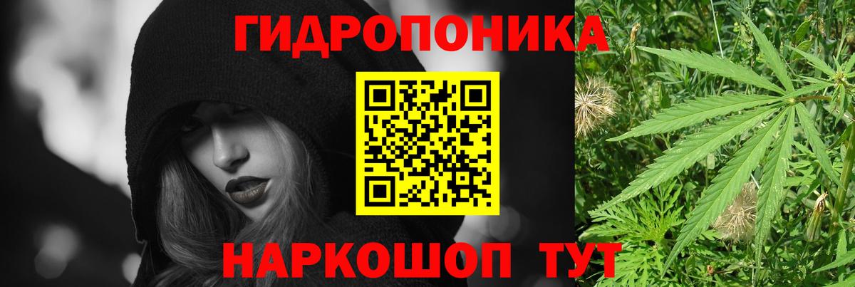 Бошки марихуана MAZAR  Вход с VPN  Марихуана VHQ  Кызыл 